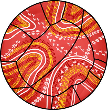 Netball with Aboriginal Artwork